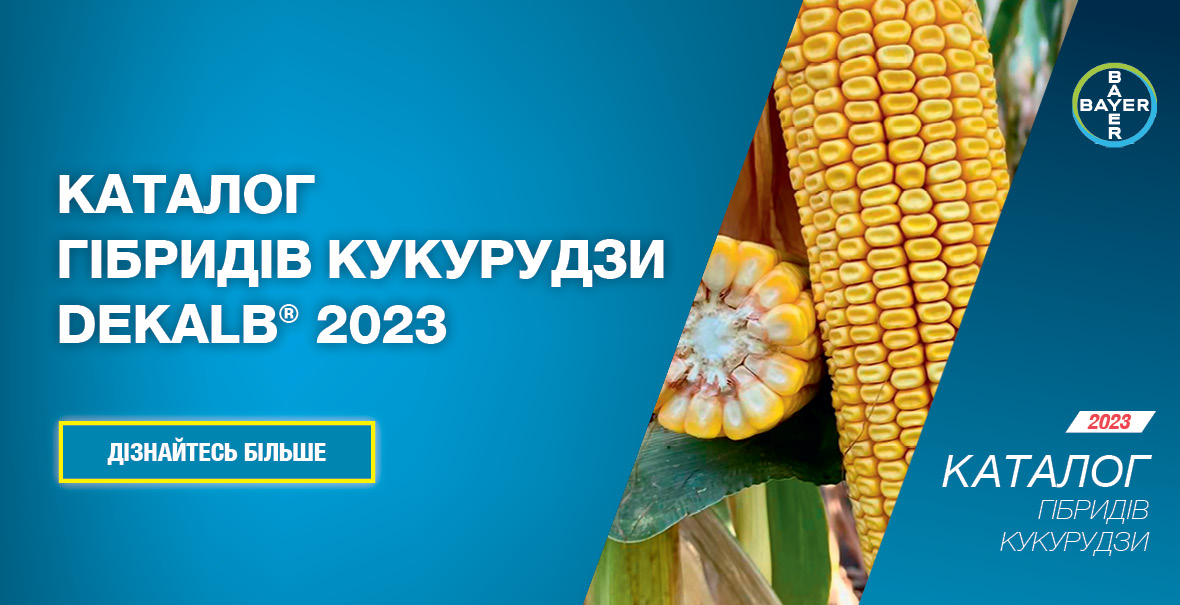 Каталог гібридів кукурудзи