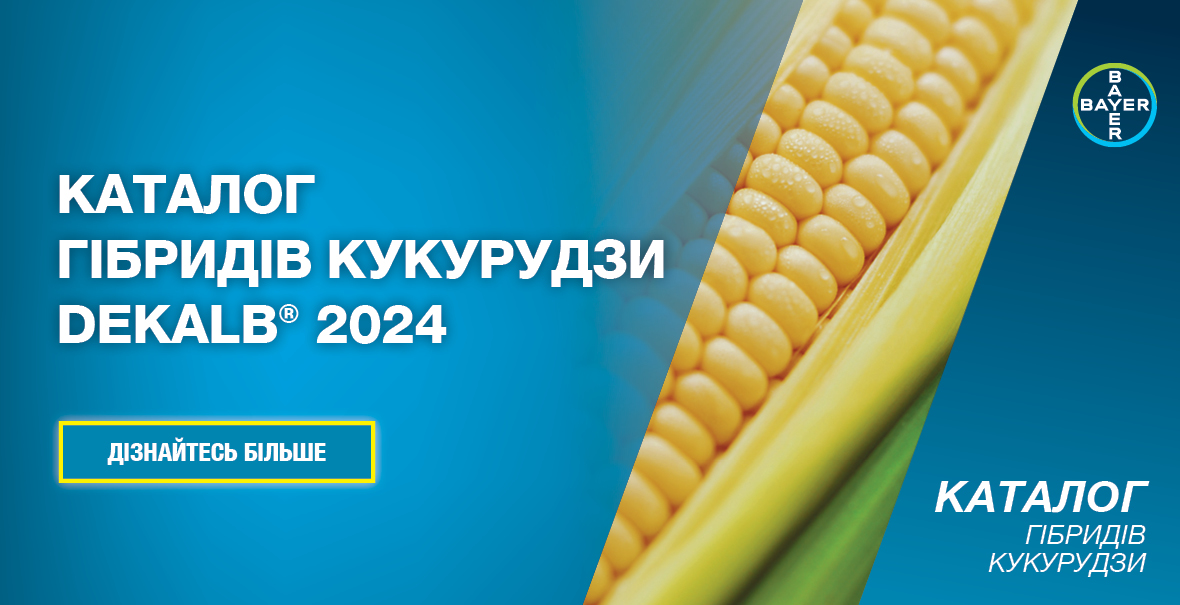 Каталог гібридів кукурудзи