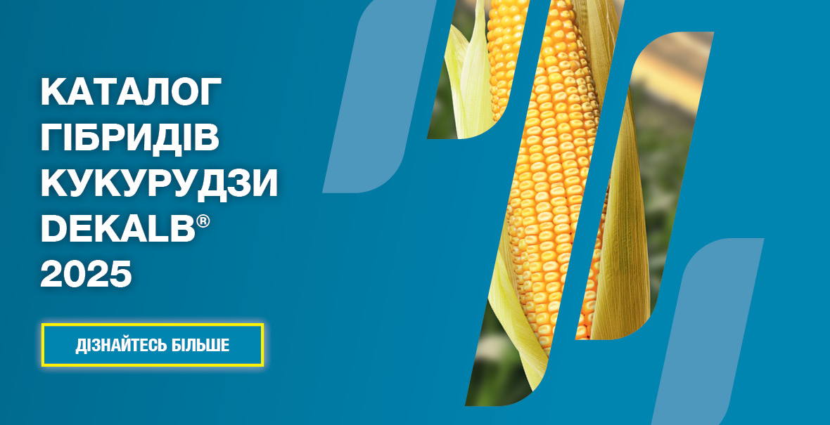 Каталог гібридів кукурудзи