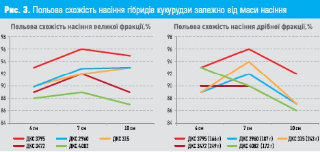 Польова схожість насіння шібридів кукурудзи DEKALB