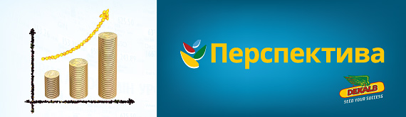 ПЕРСПЕКТИВА