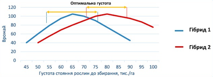 Реакція на загущення різних гібридів кукурудзи