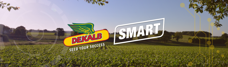 DEKALB Smart Planting — Скористайтеся потужними можливостями густоти для Вашого врожаю